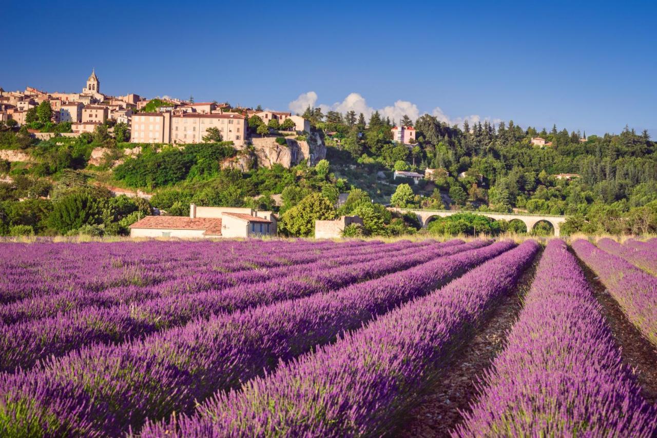 Provence Now Lägenhet Cabrières-dʼAvignon Exteriör bild