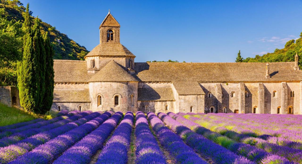 Provence Now Lägenhet Cabrières-dʼAvignon Exteriör bild