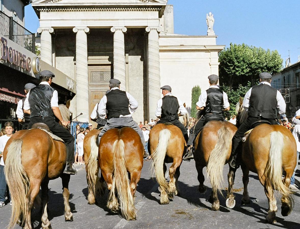 Provence Now Lägenhet Cabrières-dʼAvignon Exteriör bild