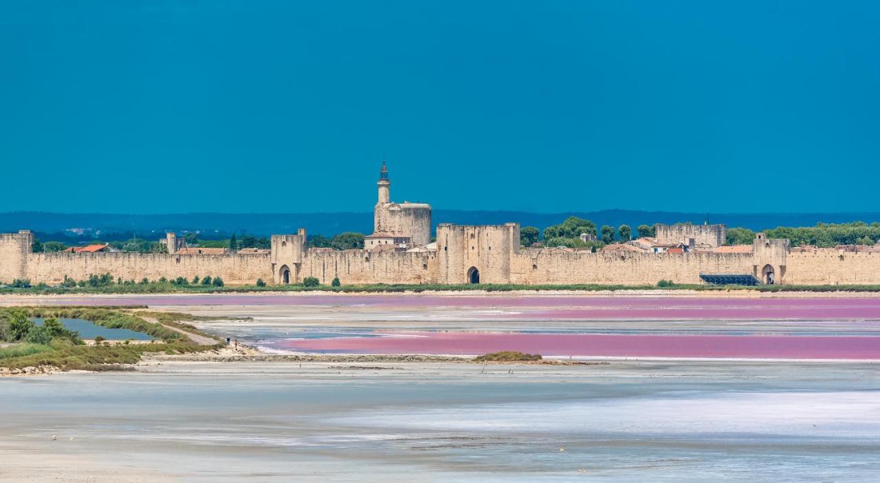 Provence Now Lägenhet Cabrières-dʼAvignon Exteriör bild